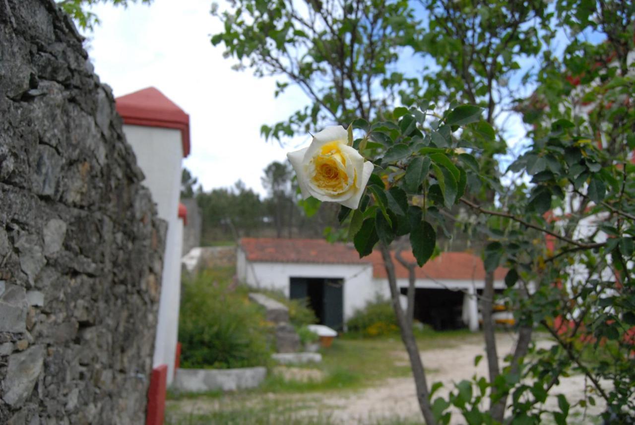 Villa Predio Na Amendoa Exterior foto